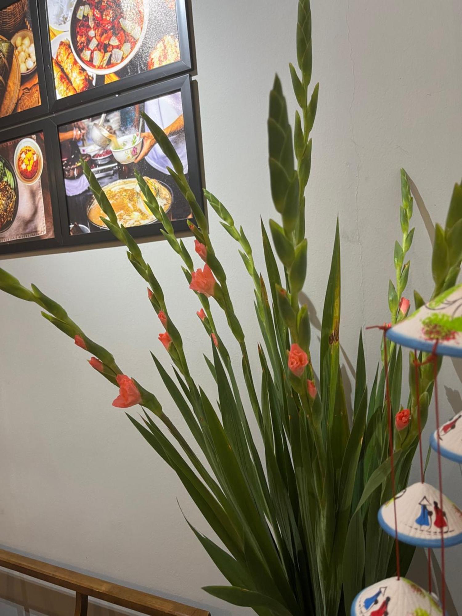 Tranquility Stay Hà Nội Ngoại thất bức ảnh